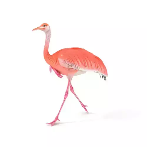Elegant Flamingo Bird model pack