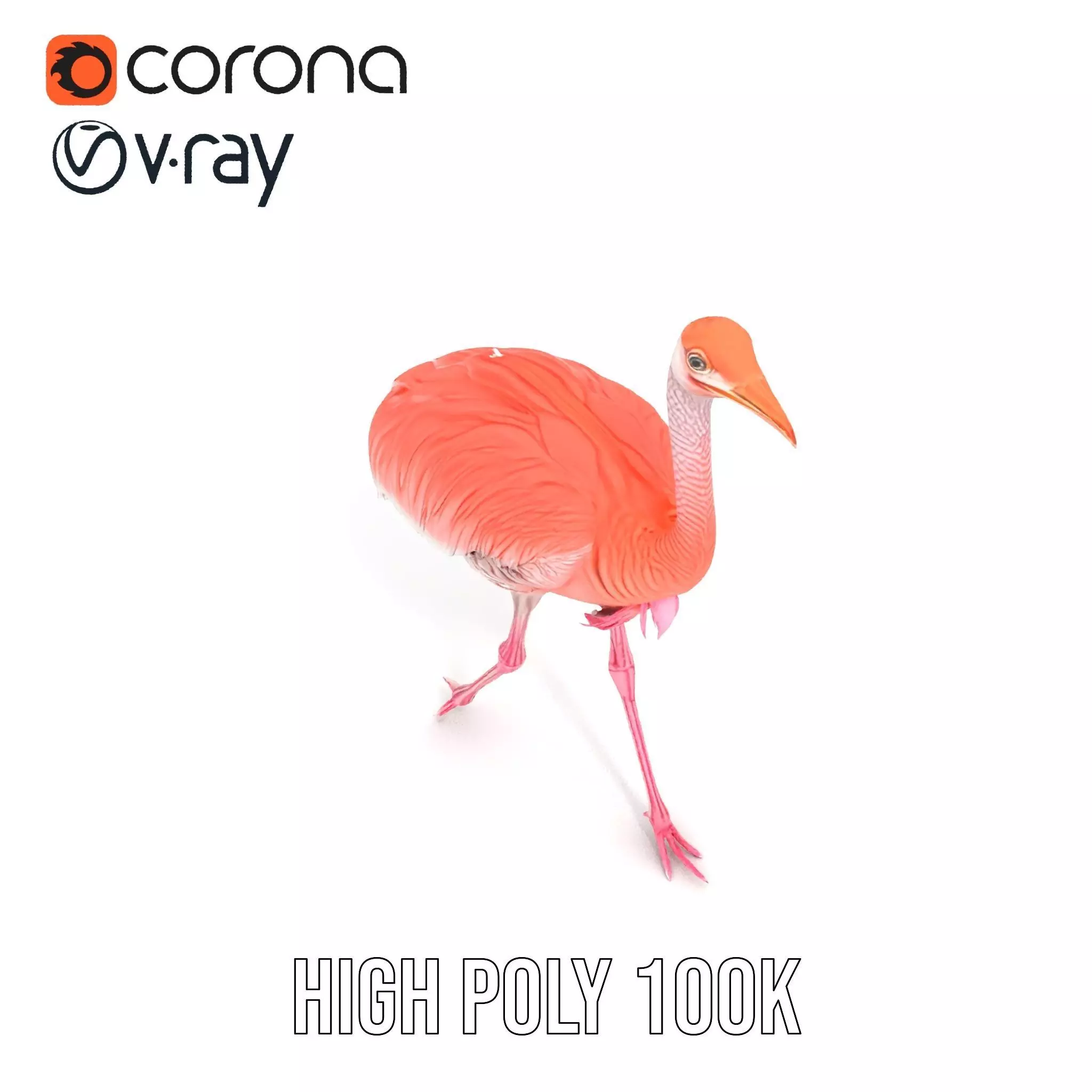 Elegant Flamingo Bird model pack Low-poly 3D model_32