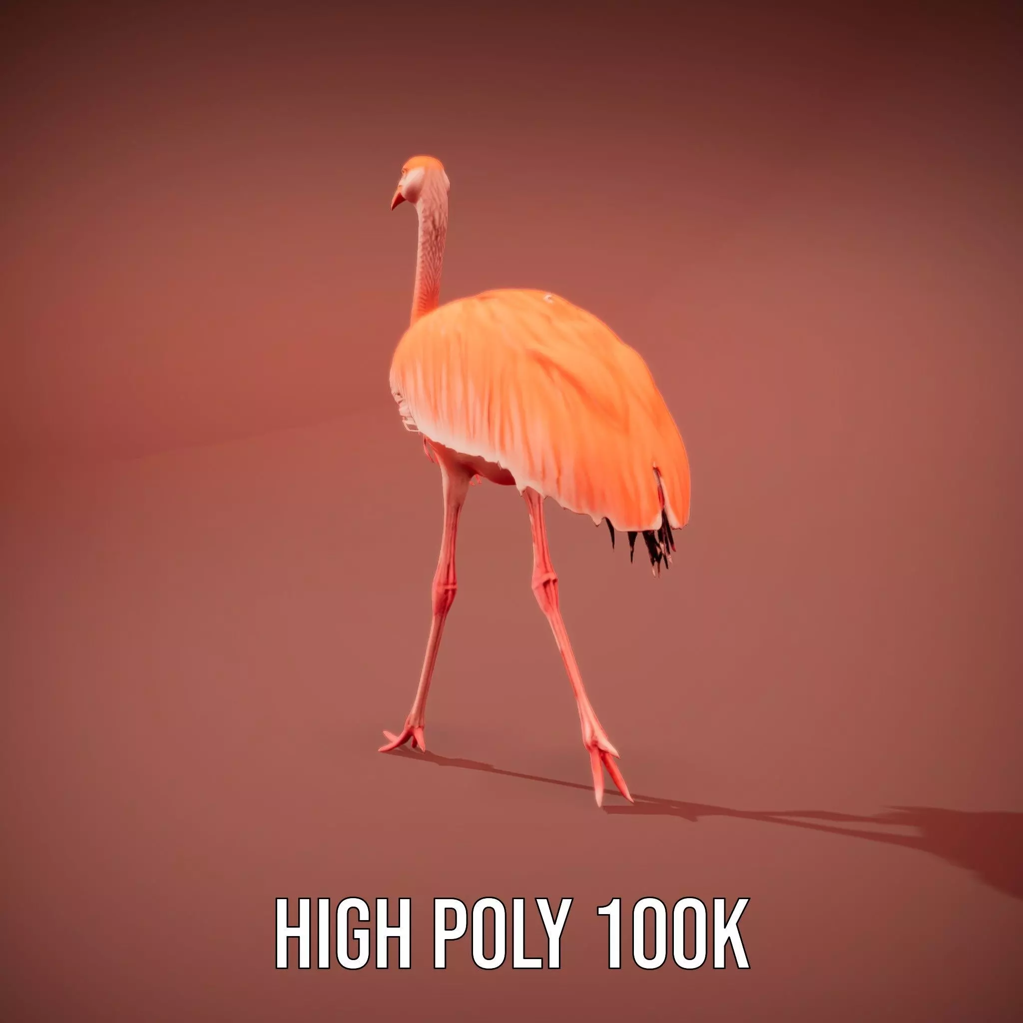 Elegant Flamingo Bird model pack Low-poly 3D model_29