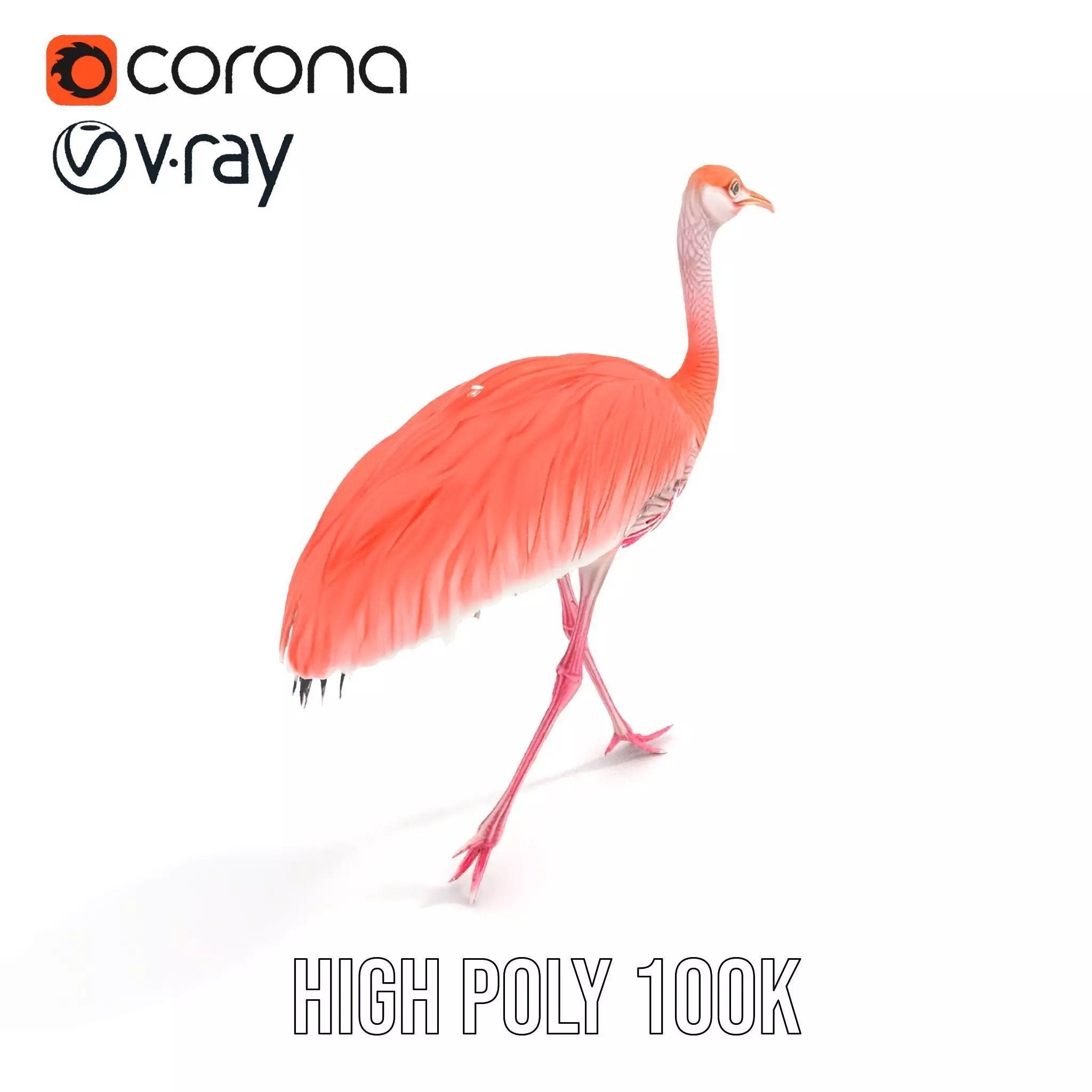 Elegant Flamingo Bird model pack Low-poly 3D model_16