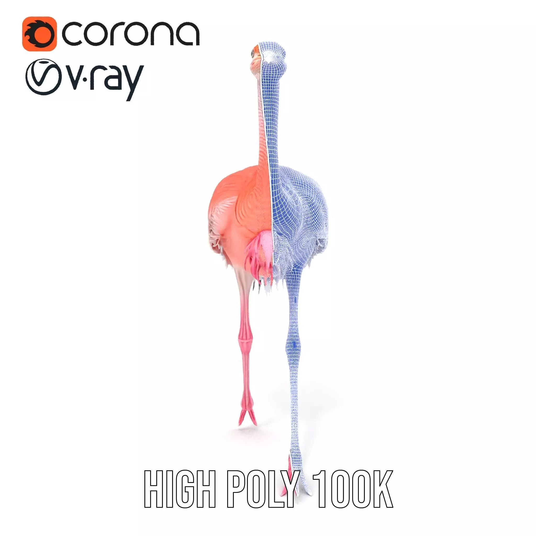 Elegant Flamingo Bird model pack Low-poly 3D model_34