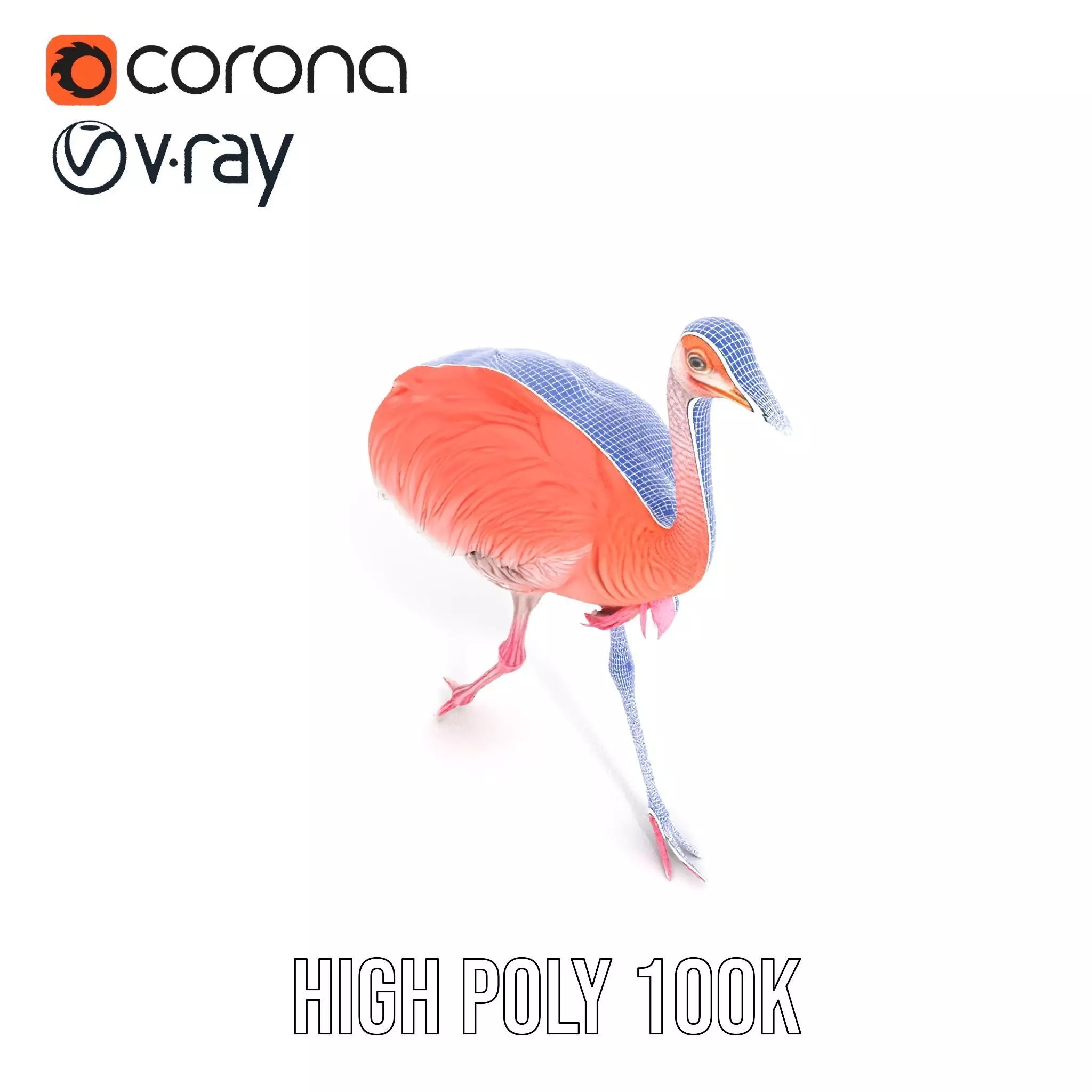 Elegant Flamingo Bird model pack Low-poly 3D model_21