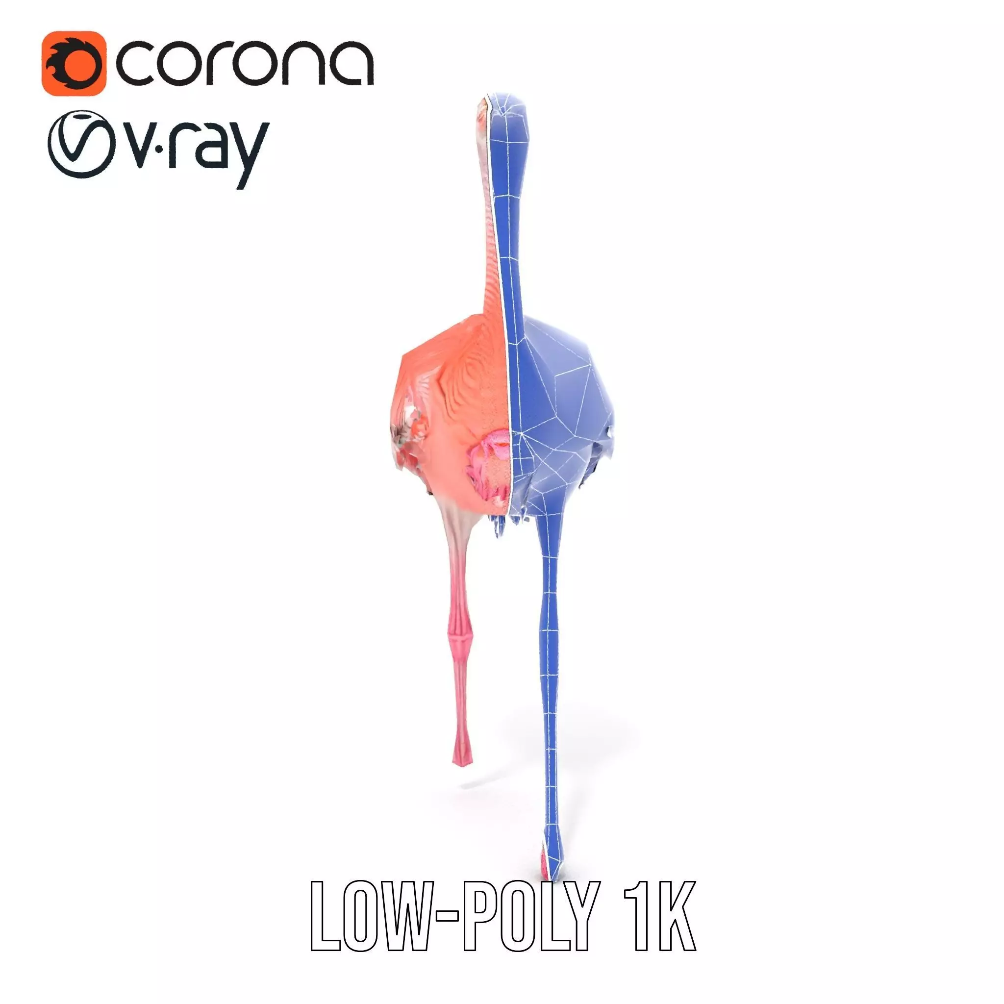 Elegant Flamingo Bird model pack Low-poly 3D model_7