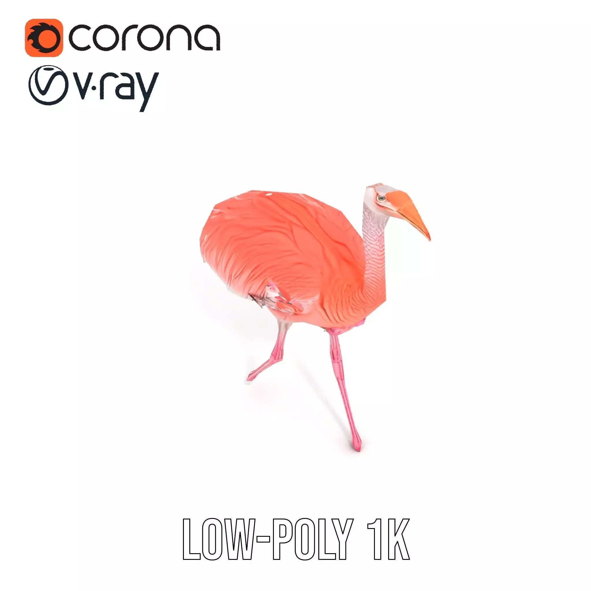 Elegant Flamingo Bird model pack Low-poly 3D model_15