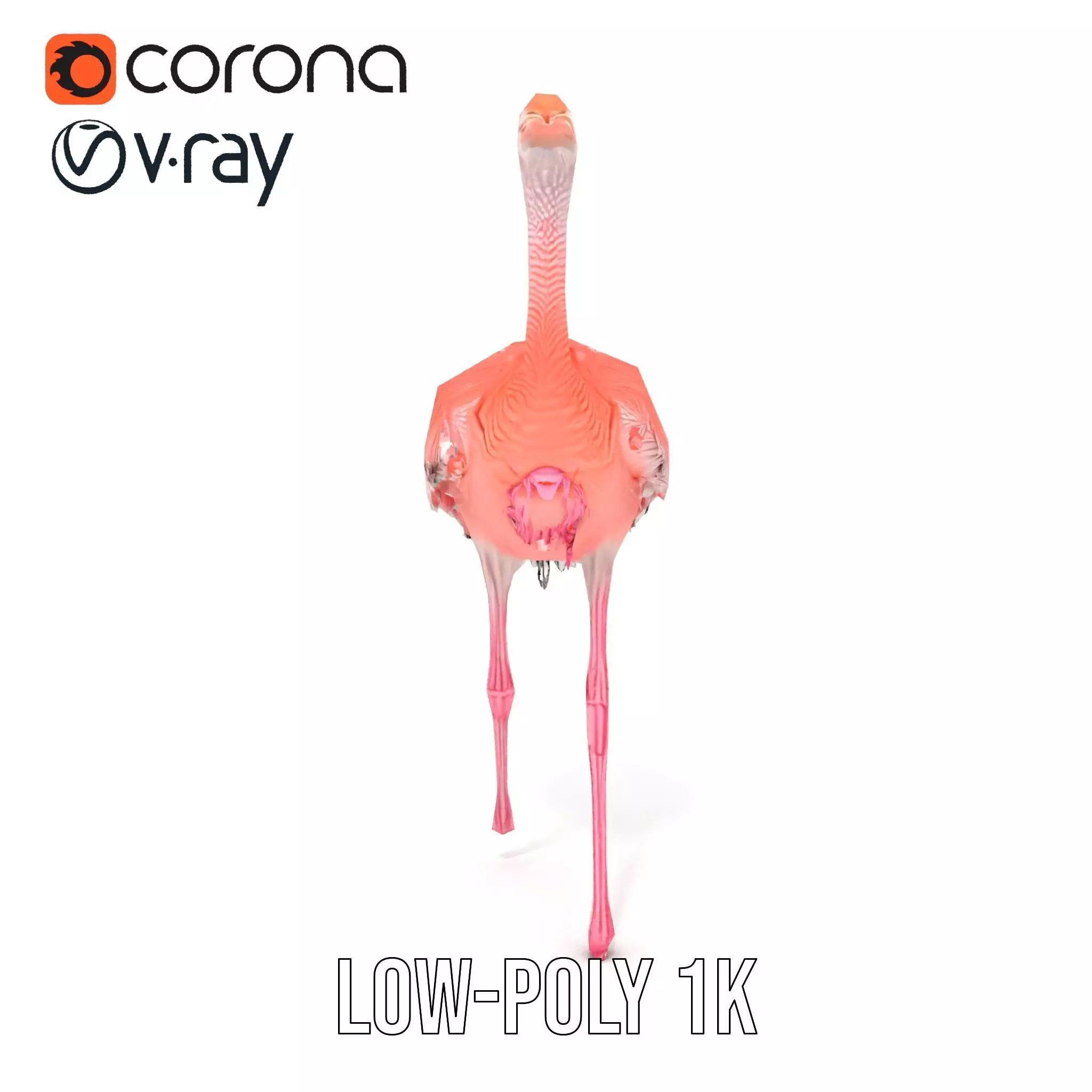 Elegant Flamingo Bird model pack Low-poly 3D model_25