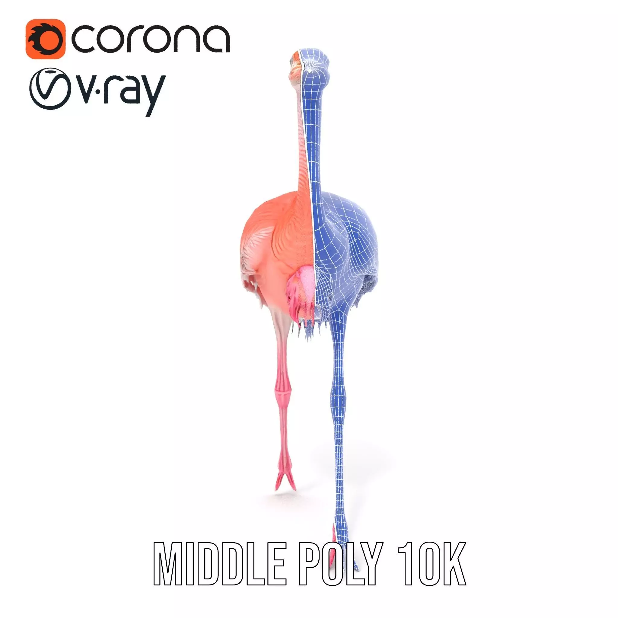 Elegant Flamingo Bird model pack Low-poly 3D model_24