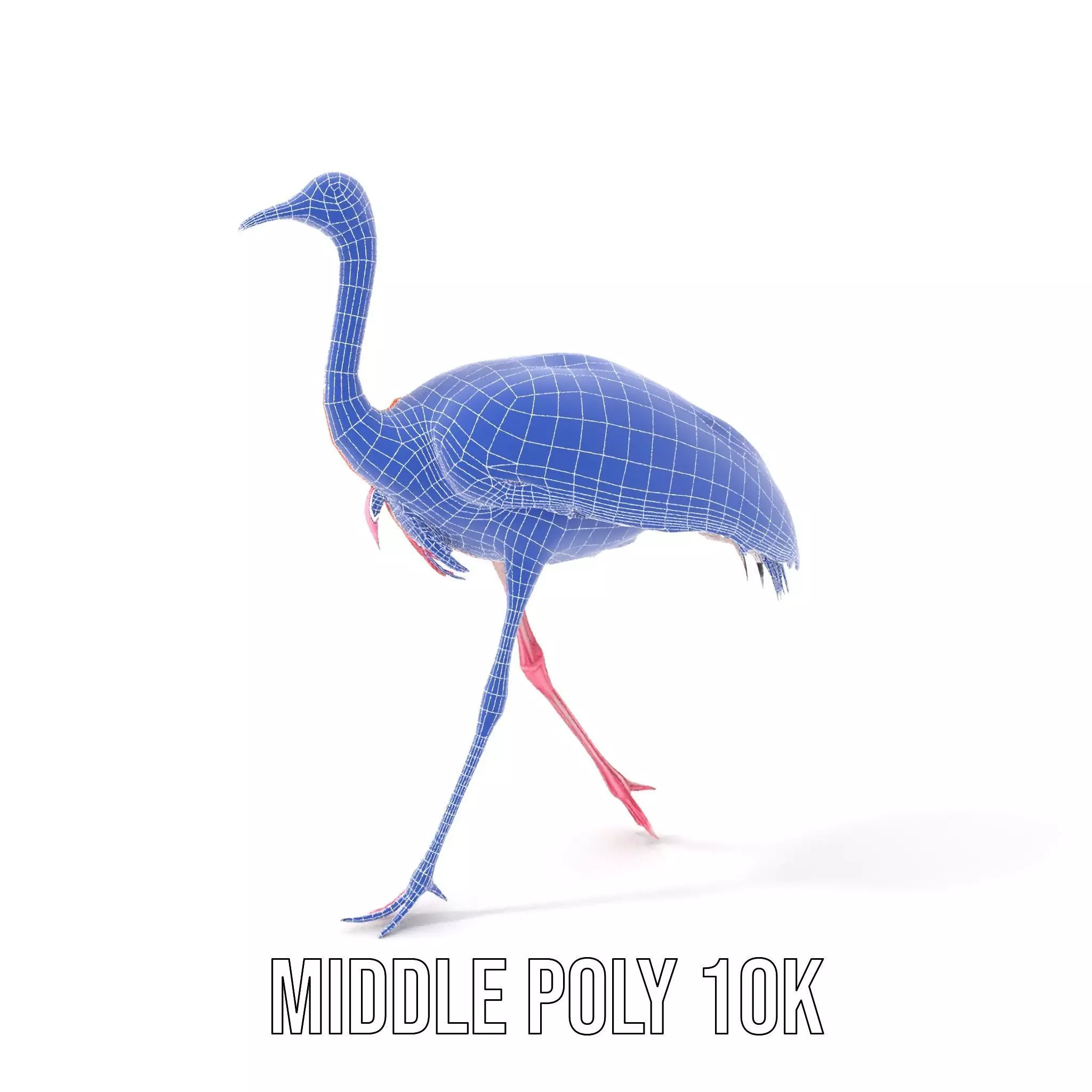 Elegant Flamingo Bird model pack Low-poly 3D model_19