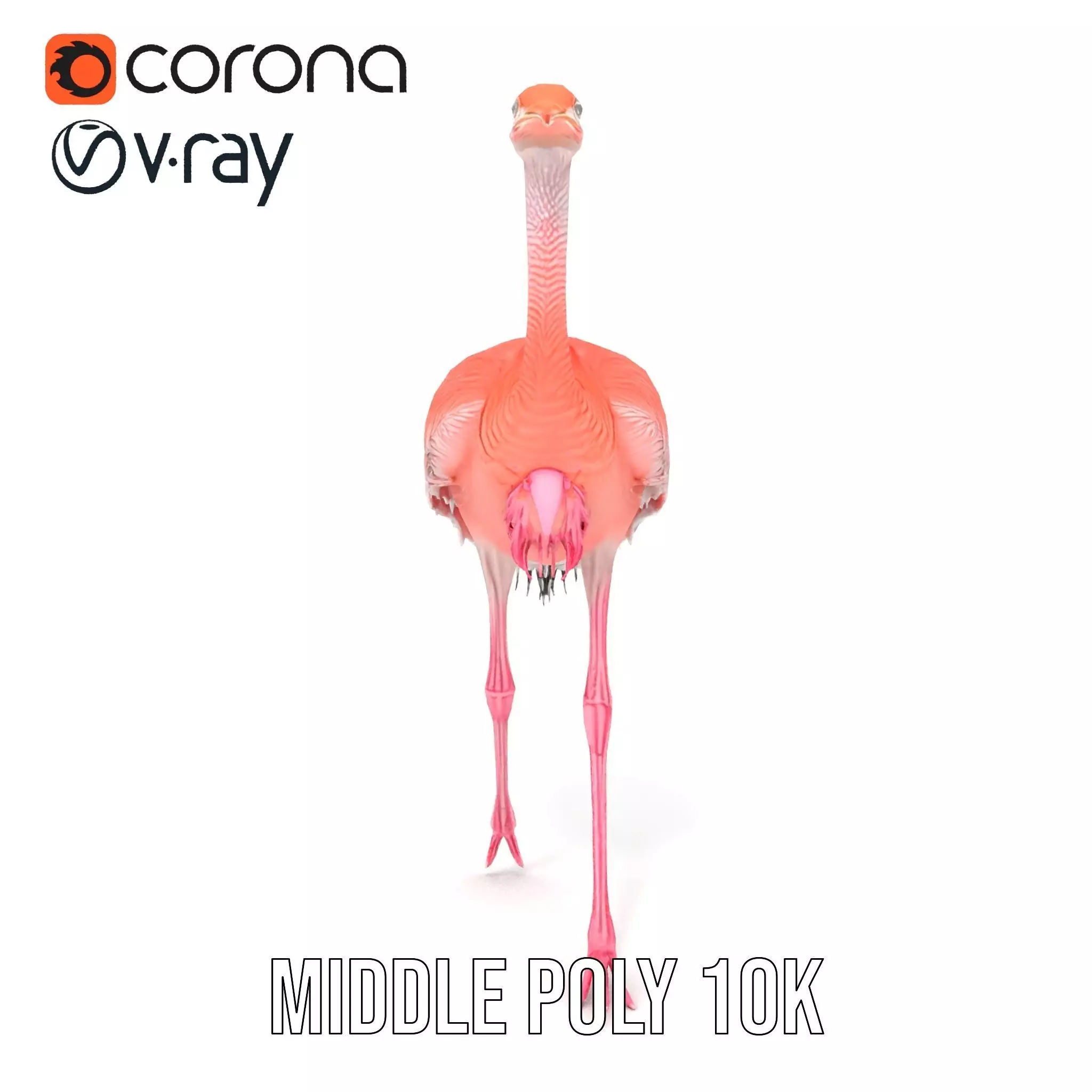 Elegant Flamingo Bird model pack Low-poly 3D model_6