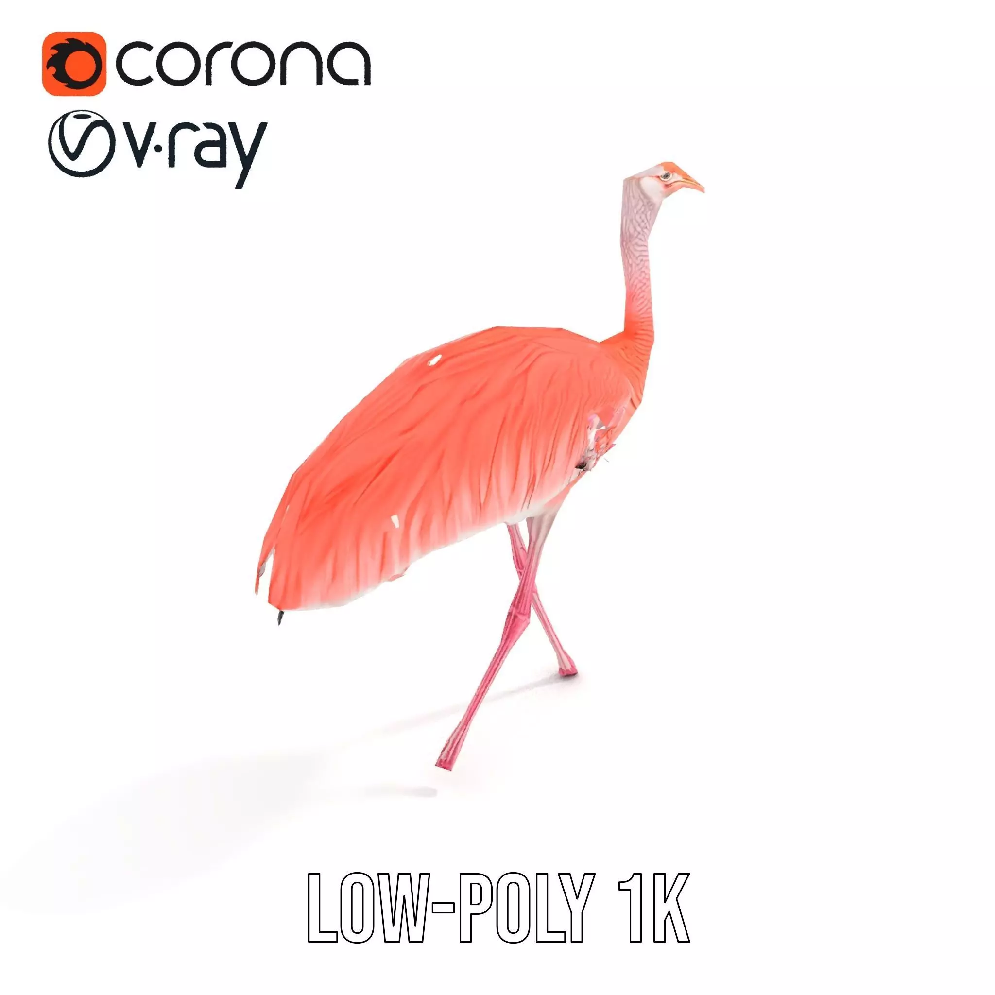 Elegant Flamingo Bird model pack Low-poly 3D model_20