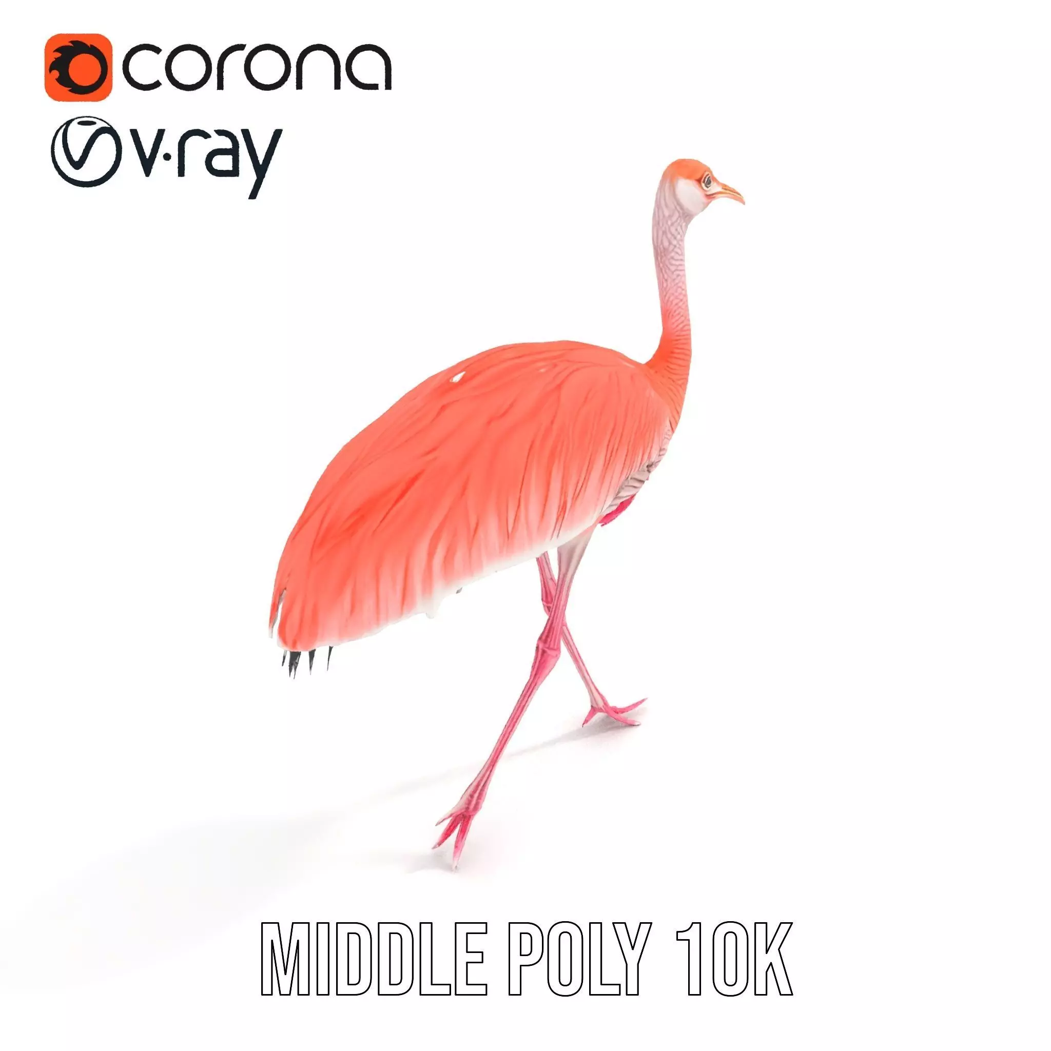 Elegant Flamingo Bird model pack Low-poly 3D model_17