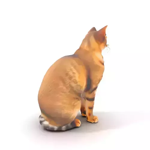 Striped Cat model pack