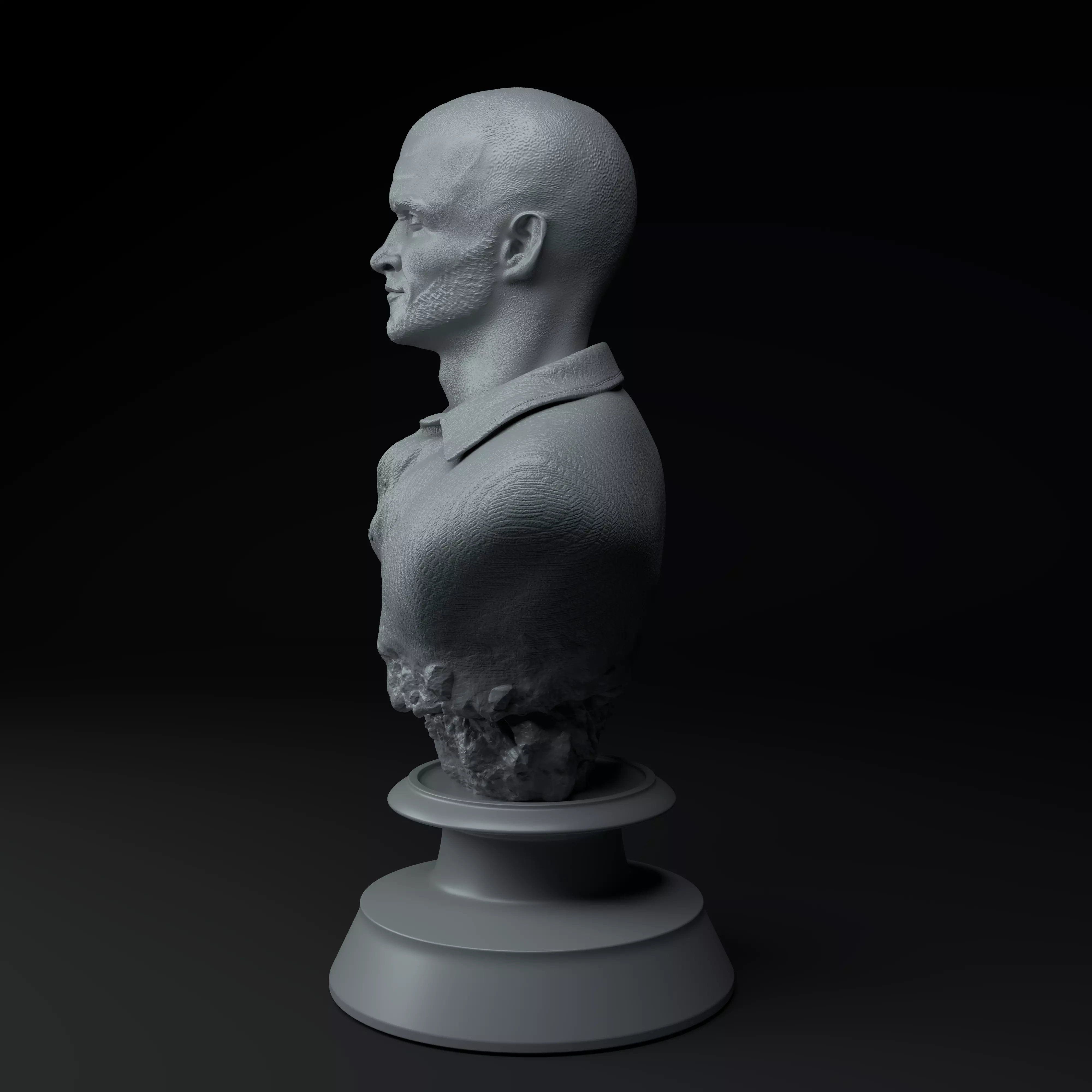 Breaking Bad Complete Premium 3D Bust Pack STL 3D model_19