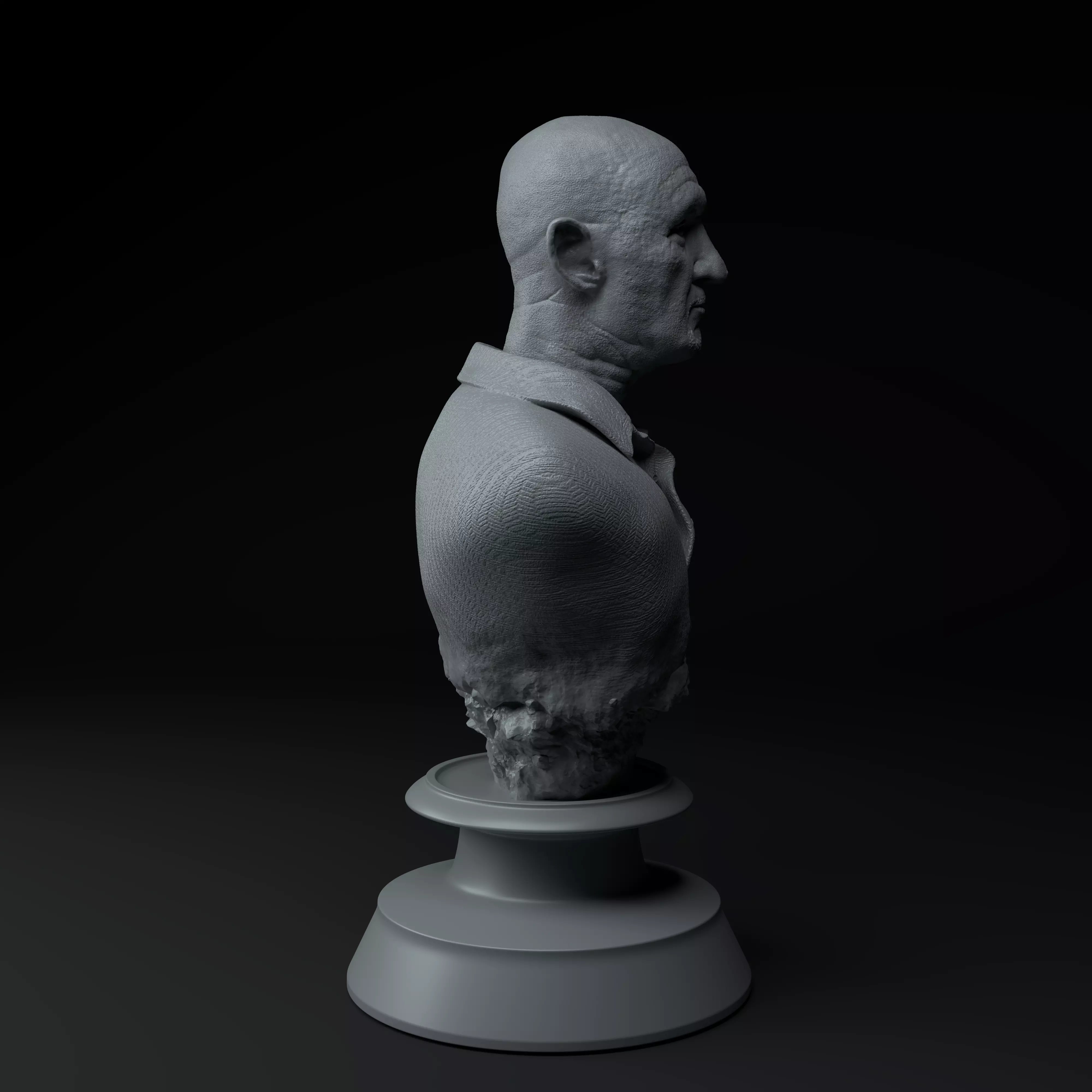 Breaking Bad Complete Premium 3D Bust Pack STL 3D model_46