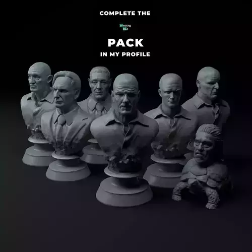 Breaking Bad Complete Premium 3D Bust Pack STL