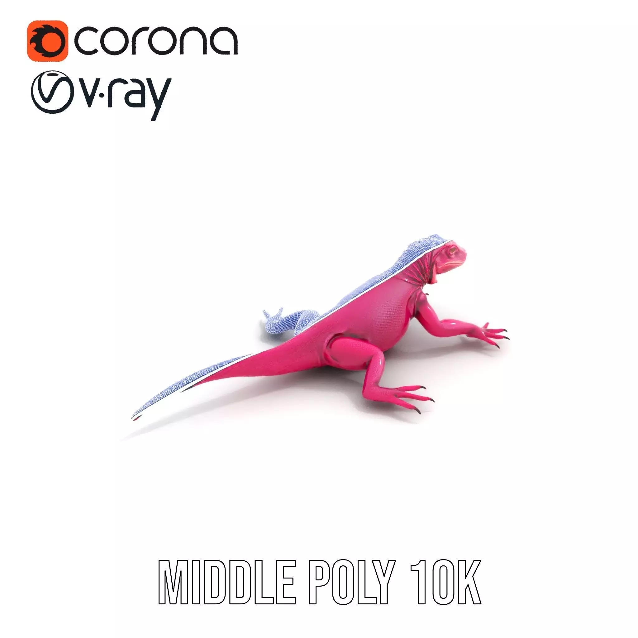Vibrant Magenta Lizard model pack Low-poly 3D model_10