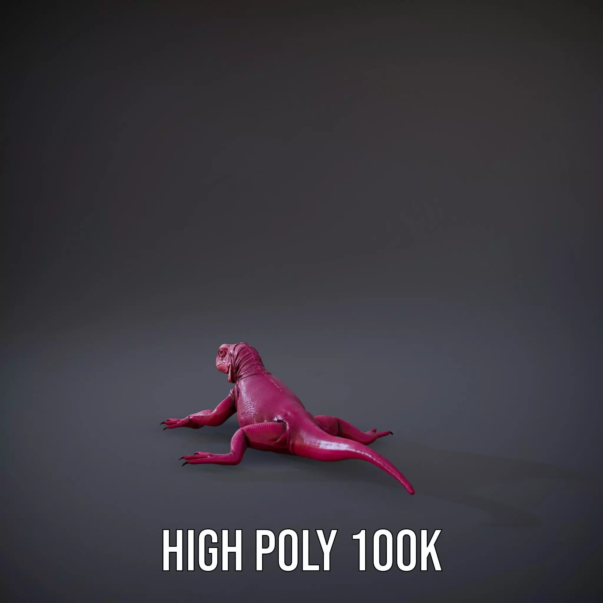 Vibrant Magenta Lizard model pack Low-poly 3D model_20