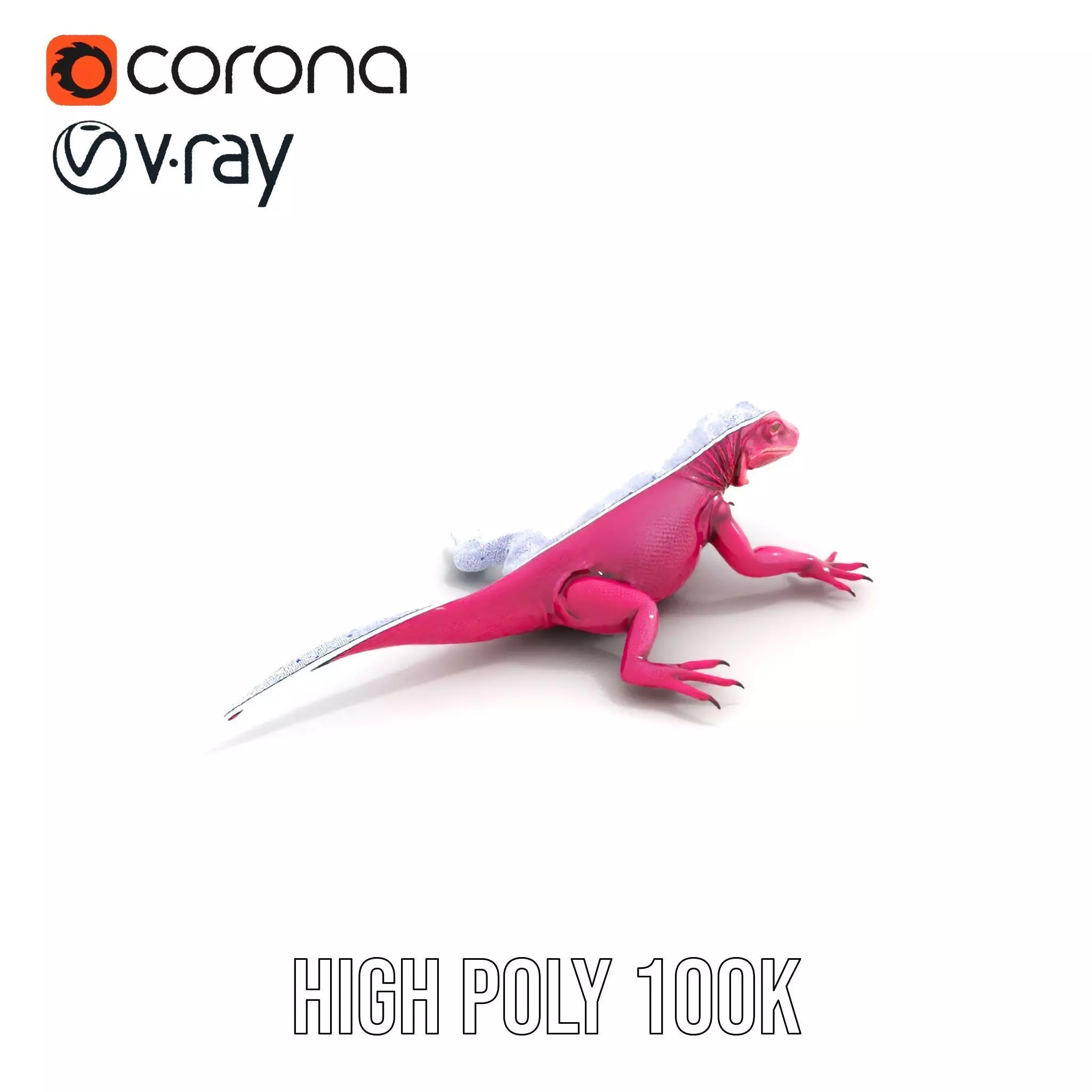 Vibrant Magenta Lizard model pack Low-poly 3D model_33