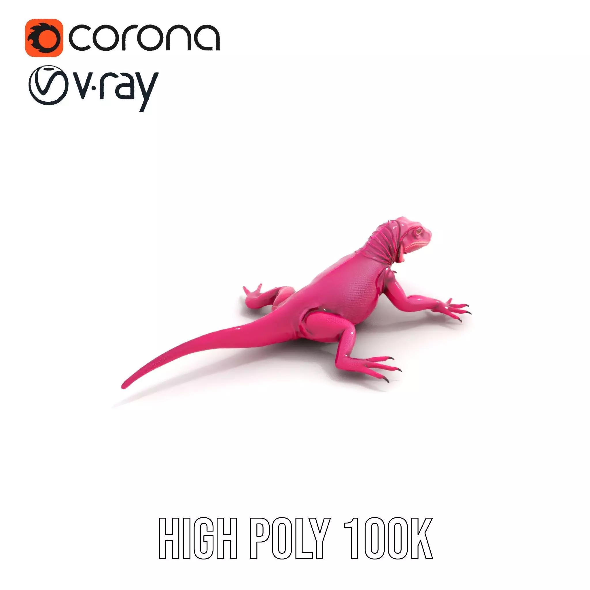 Vibrant Magenta Lizard model pack Low-poly 3D model_32