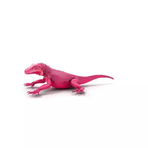 Vibrant Magenta Lizard model pack