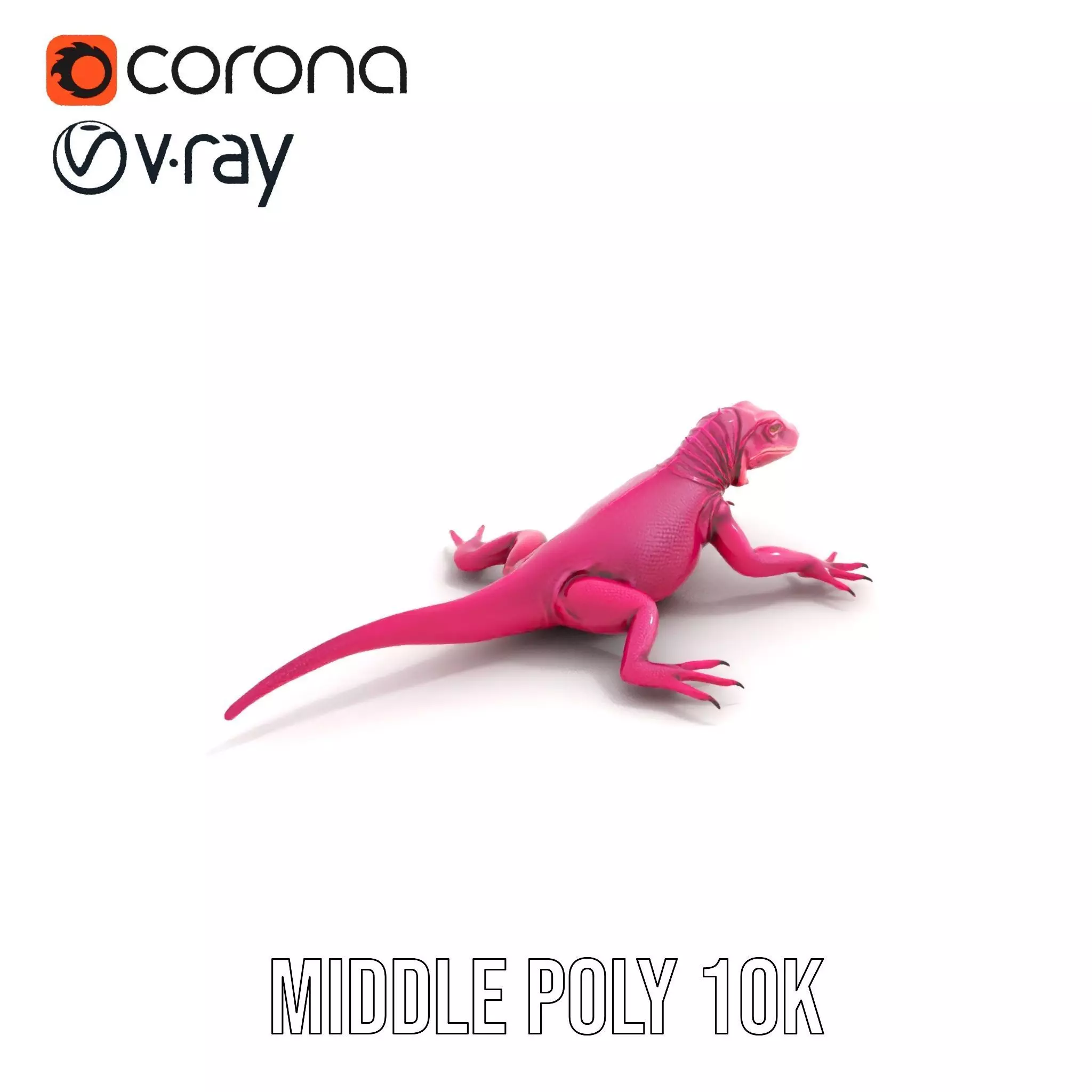 Vibrant Magenta Lizard model pack Low-poly 3D model_15