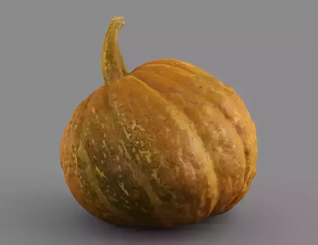 HIGH QUALITY REALISTIC PUMPKIN 8K MAPS 3D model 3