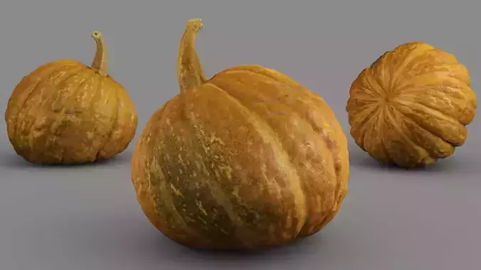 HIGH QUALITY REALISTIC PUMPKIN 8K MAPS 3D model 2