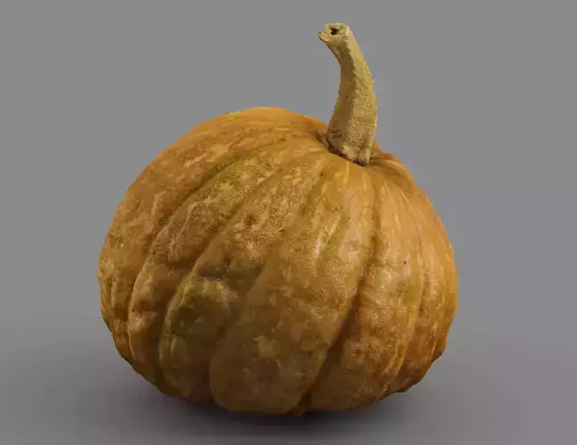 HIGH QUALITY REALISTIC PUMPKIN 8K MAPS 3D model 5