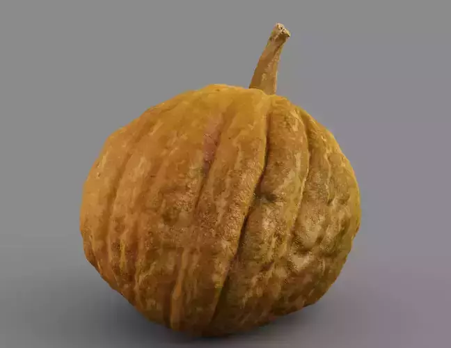 HIGH QUALITY REALISTIC PUMPKIN 8K MAPS 3D model 6