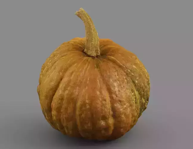 HIGH QUALITY REALISTIC PUMPKIN 8K MAPS 3D model 4