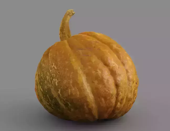 HIGH QUALITY REALISTIC PUMPKIN 8K MAPS 3D model 7