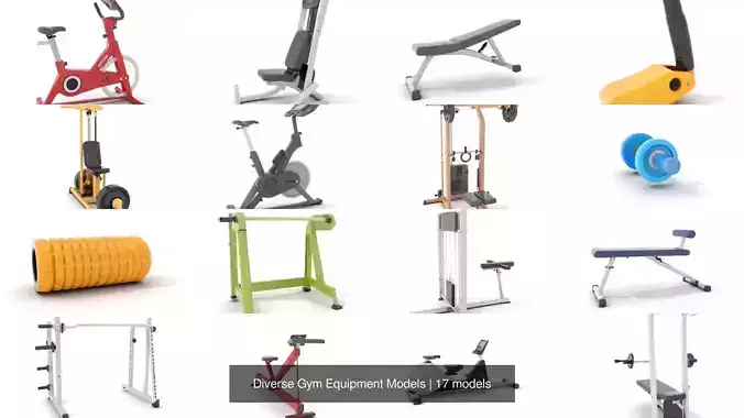 Diverse Gym Equipment Models