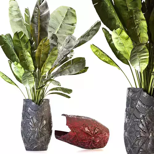 Concrete Pot Plant Set 05