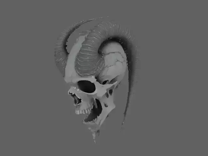 Skull Model