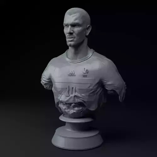 Zinedine Zidane Premium 3D Bust STL