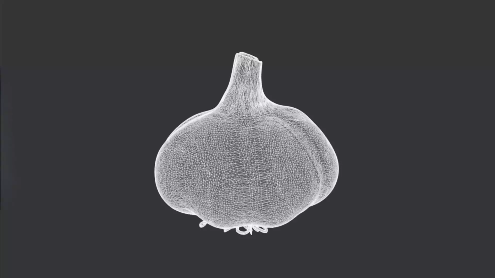Garlic 3D model_2