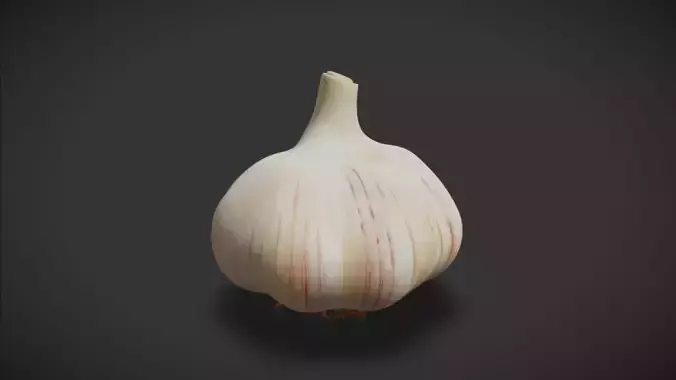 Garlic