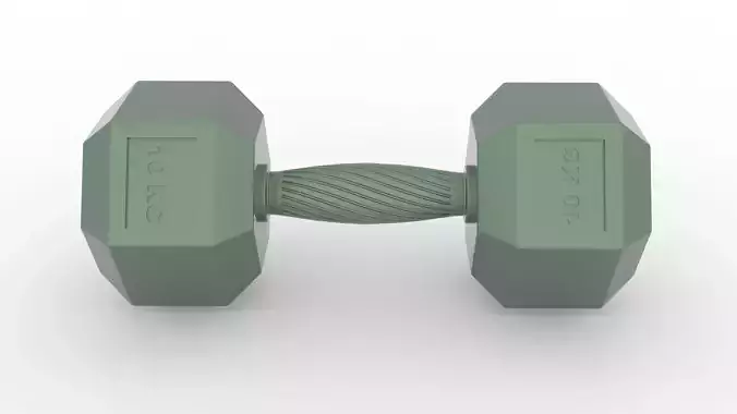 Hexagonal 10kg dumbbell with ergonomic knurled grip 