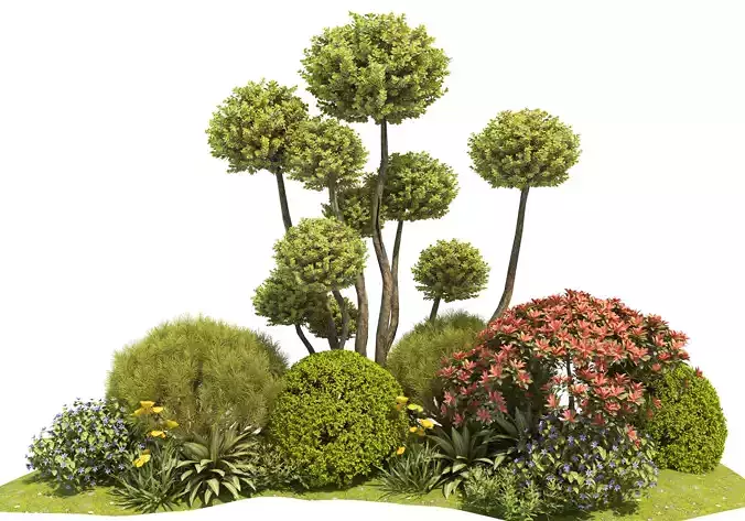 Flower bed plants 04