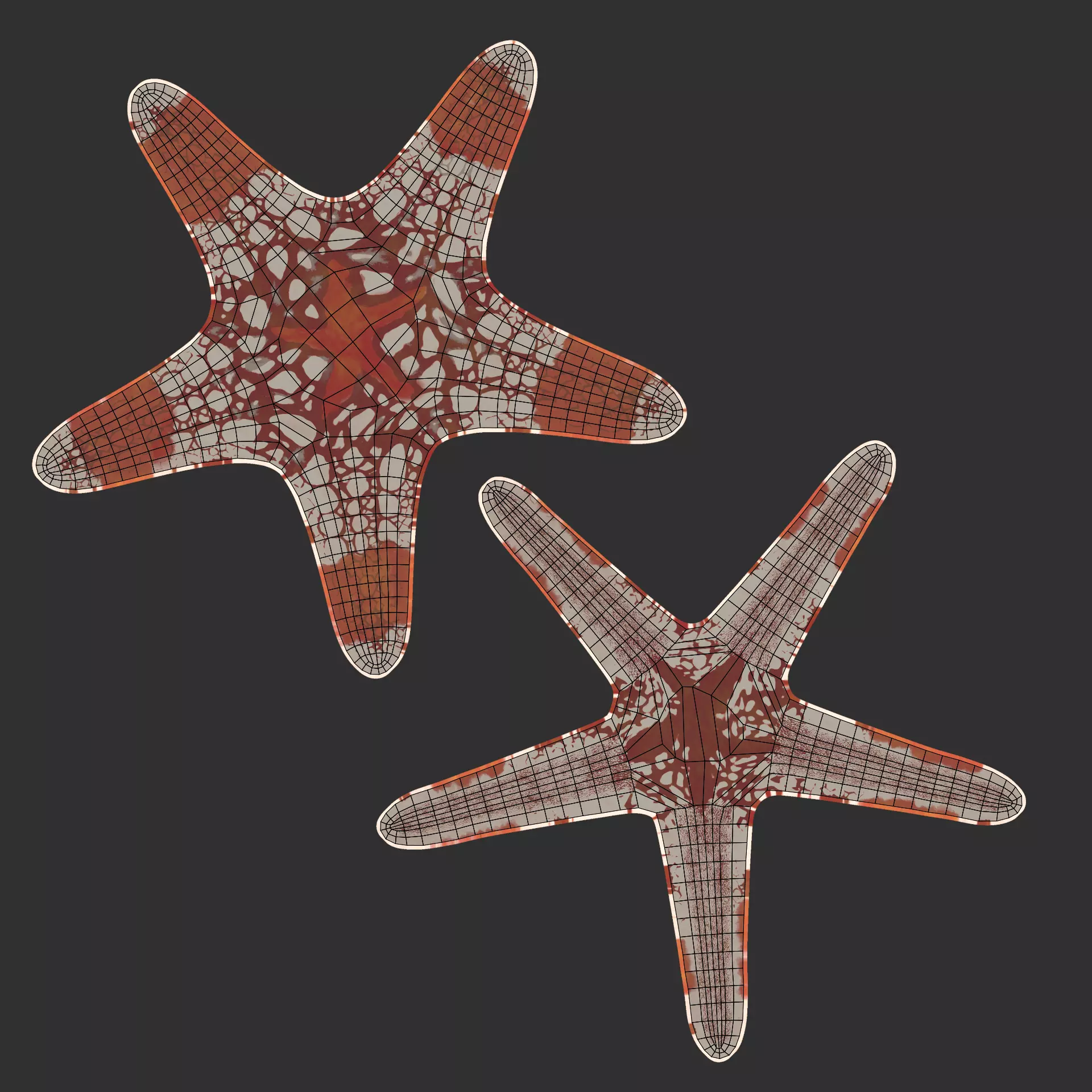 -Sealife Set- 3D model_23