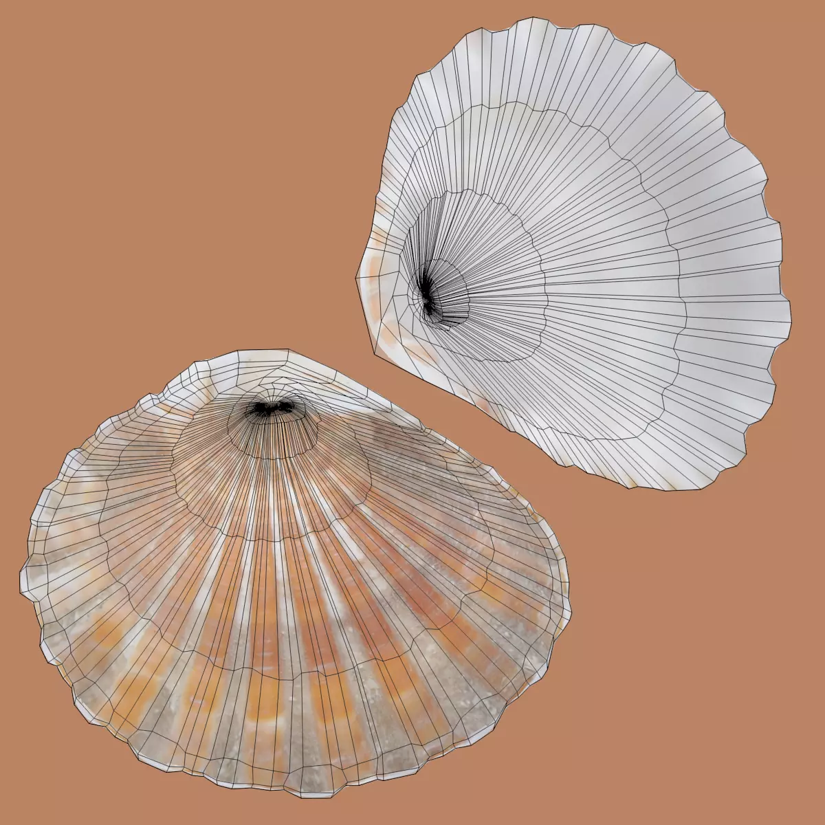 -Sealife Set- 3D model_18