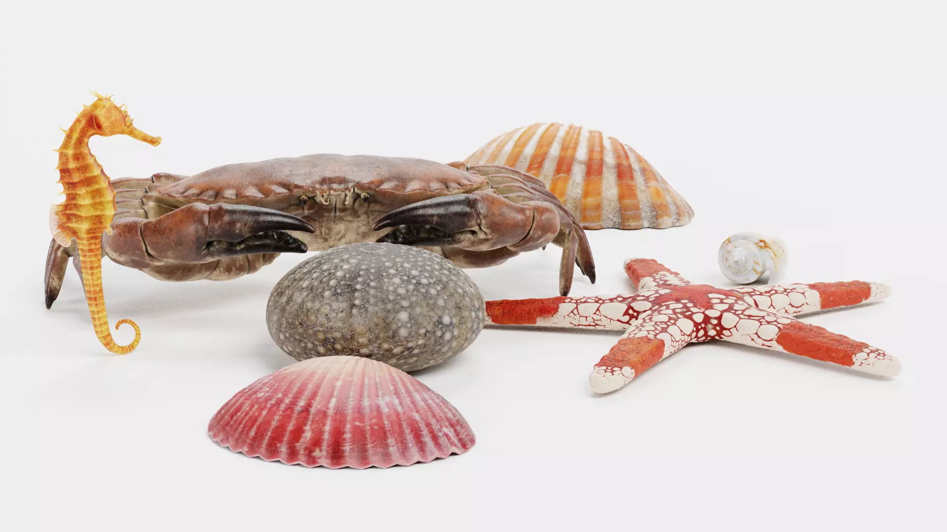 -Sealife Set- 3D model_2