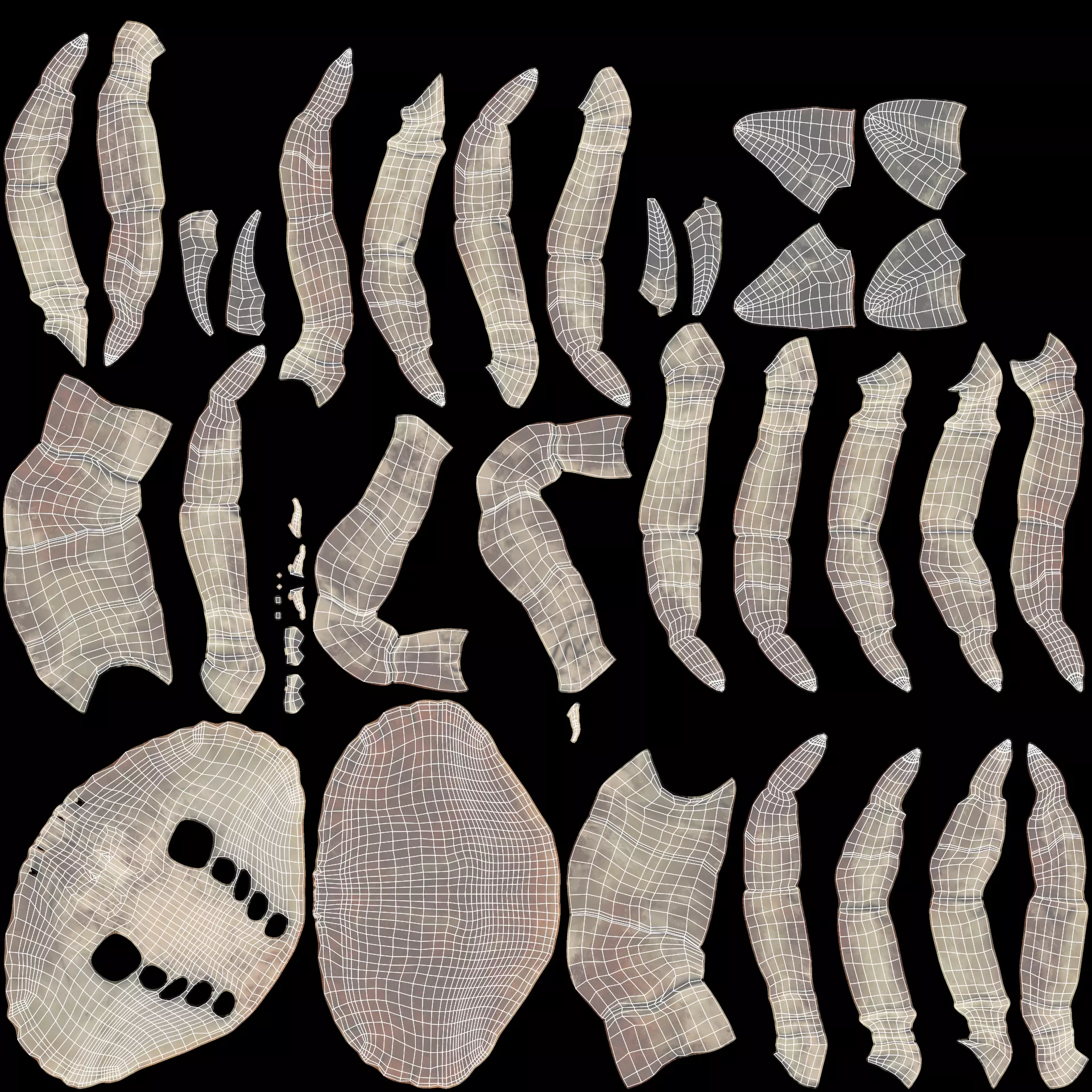 -Sealife Set- 3D model_20