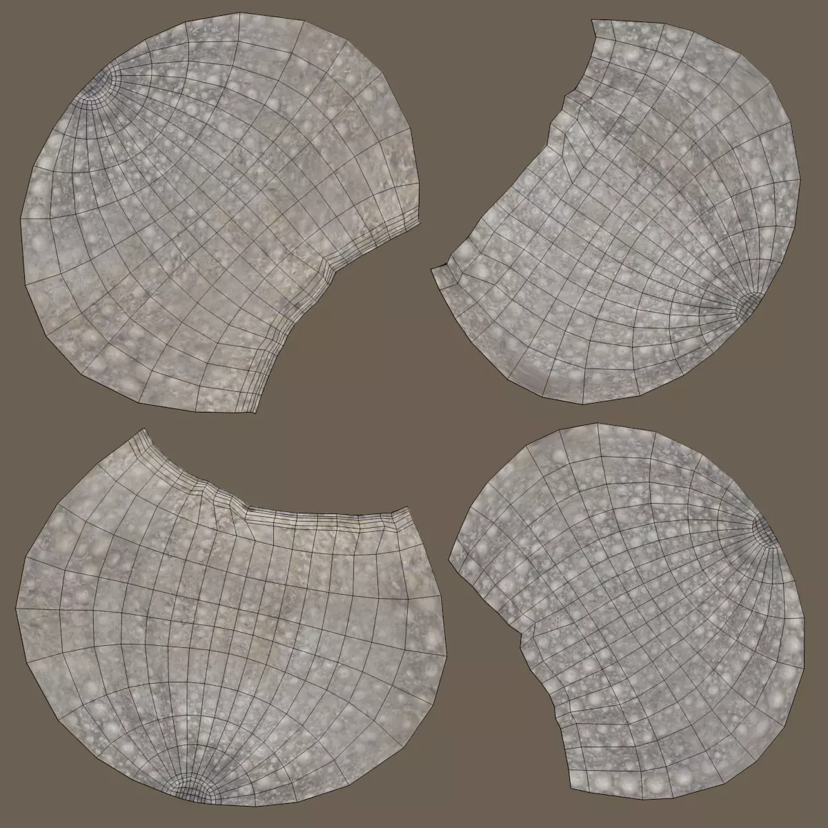 -Sealife Set- 3D model_24