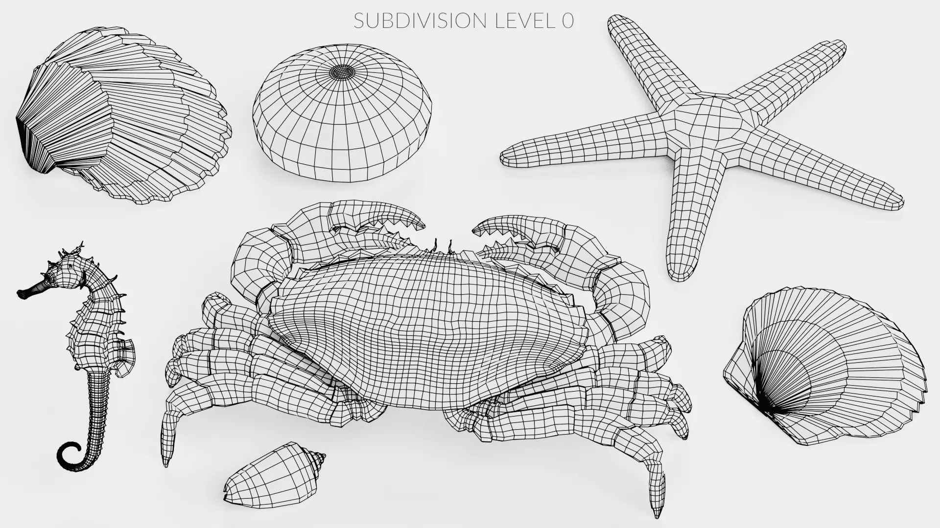 -Sealife Set- 3D model_27