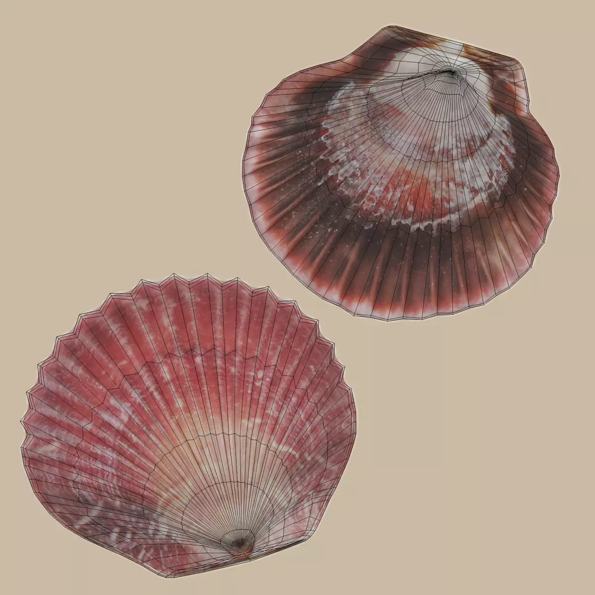 -Sealife Set- 3D model_19