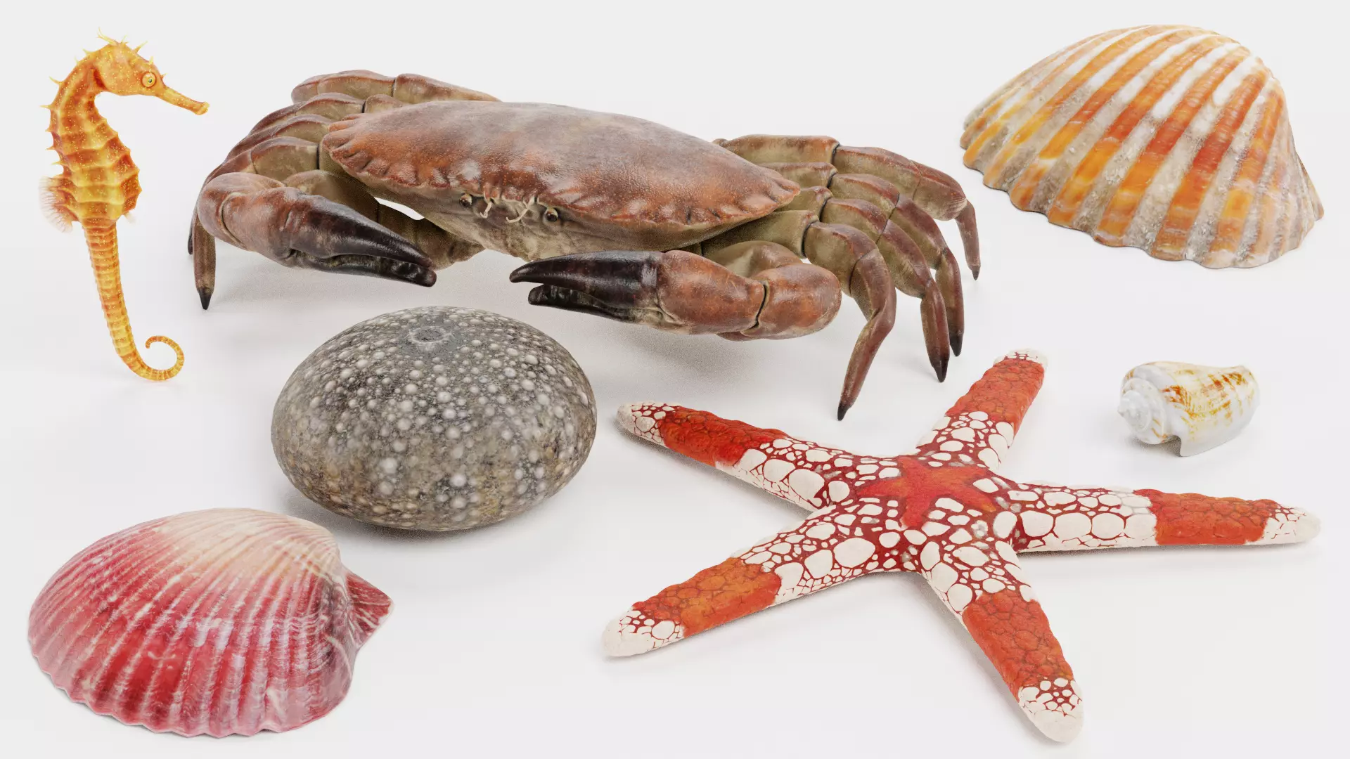 -Sealife Set- 3D model_0