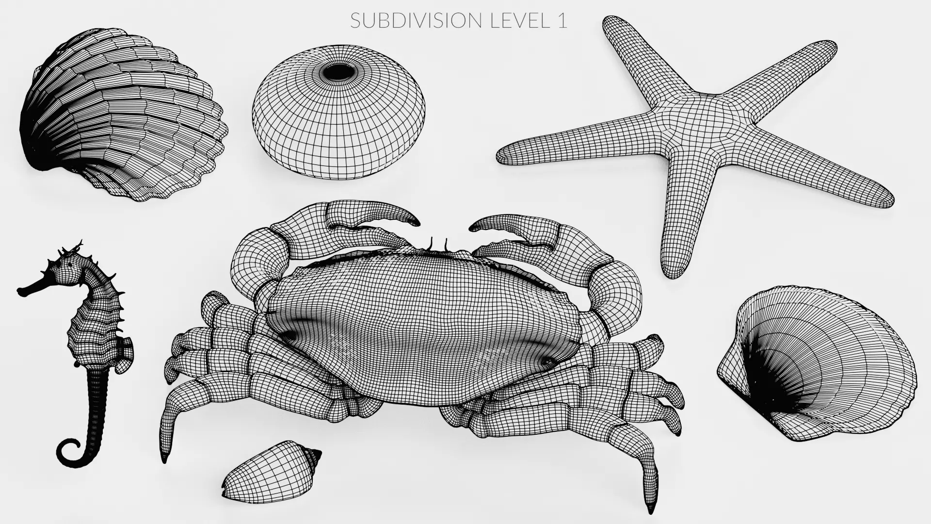 -Sealife Set- 3D model_28