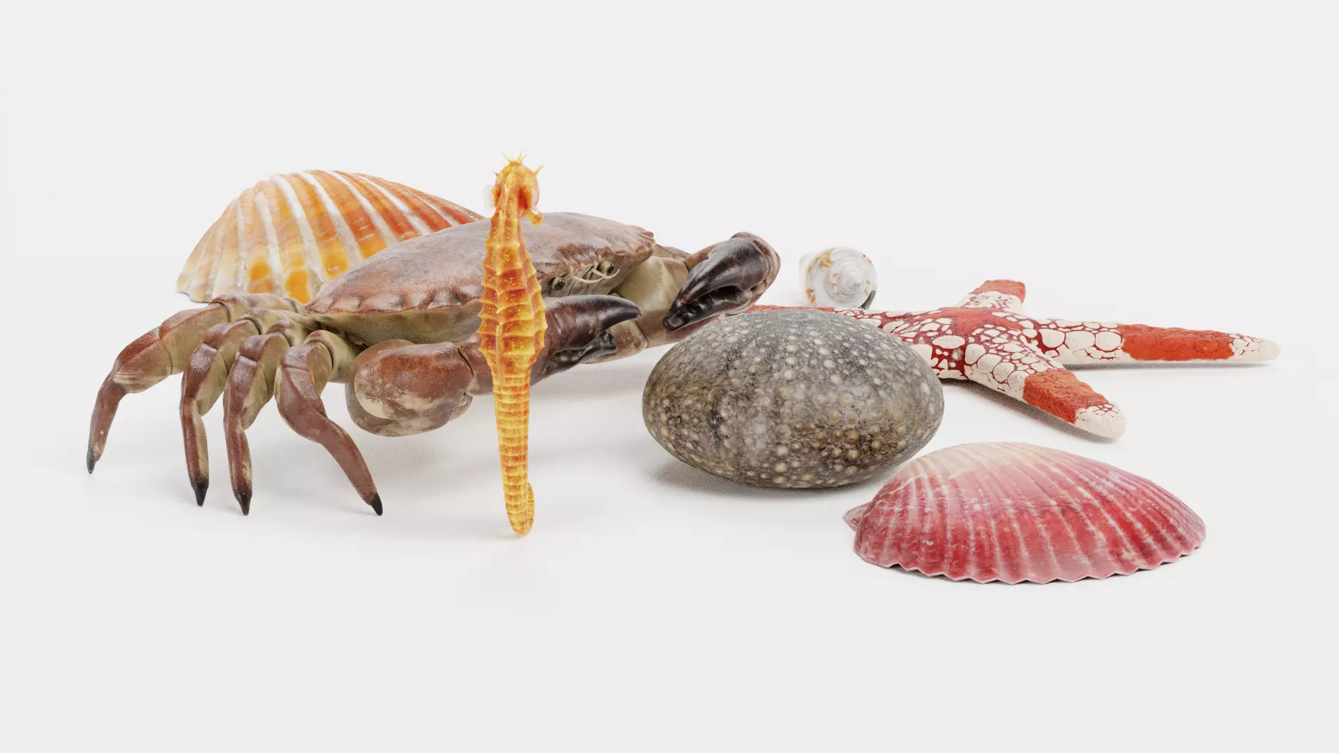-Sealife Set- 3D model_3