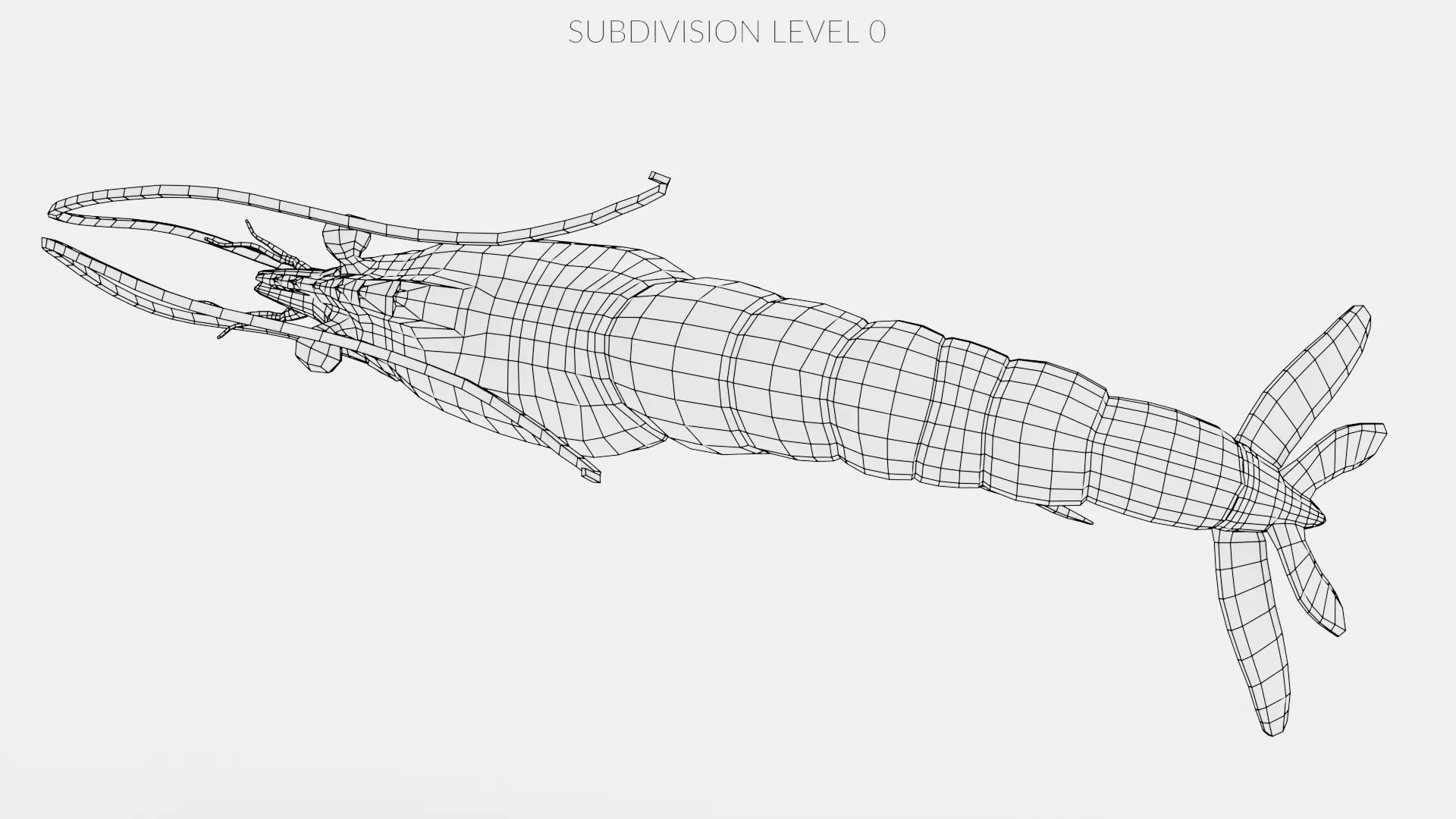 -Shrimp- 3D model_12