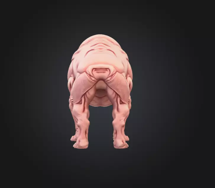 Mutated Quadruped Creature Low-poly 3D model_5